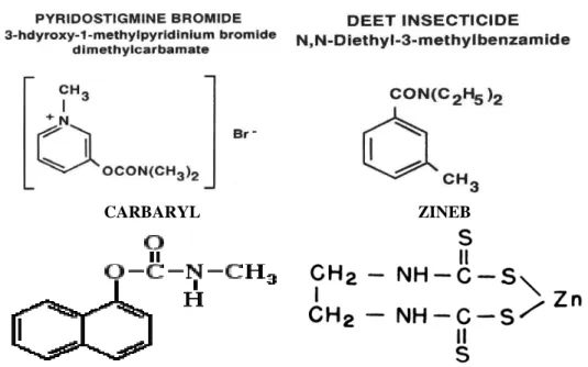 Gambar 2.2. Struktur kimia pestisida golongan karbamat 18