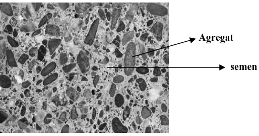 Gambar 2.1. Struktur mikro dari beton normal  (Yanarta, 2008 ) 