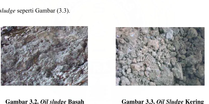 Gambar 3.1. Diagram Alir Penelitian 