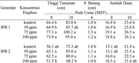 Tabel 3. Nilai Rata-rata  Pertambahan Tinggi Tanaman, Diameter Batang dan  Jumlah Daun Pada Interaksi Genotipe Pepaya dan Konsentrasi Etephon 