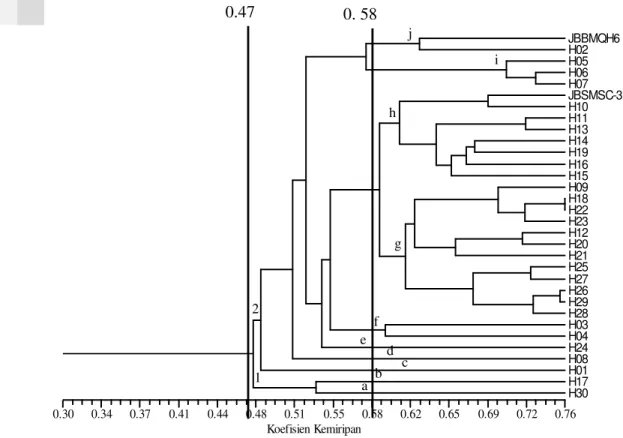 Gambar 7.    Dendrogram kemiripan data gabungan hasil analisis gerombol dengan  metode  pengelompokan UPGMA  berdasarkan  87  karakter  morfologi  dan 105 pola pita RAPD