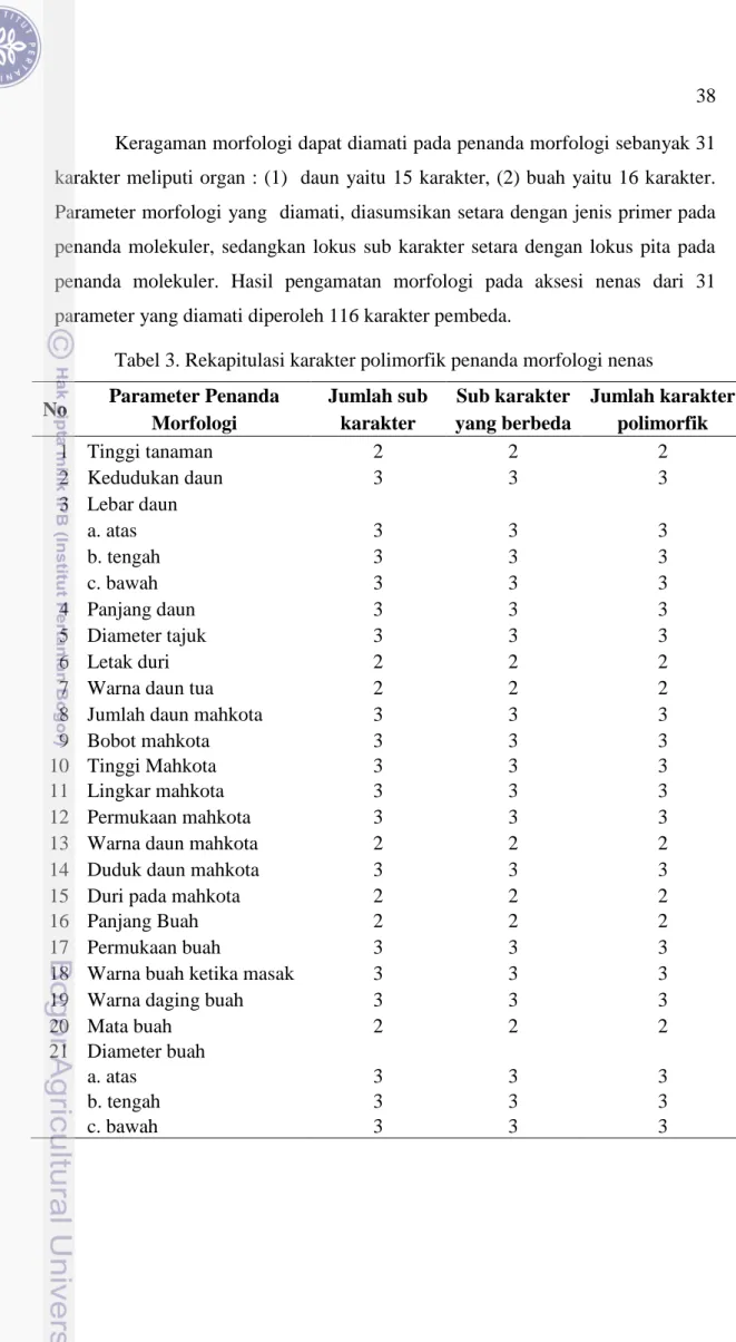 Tabel 3. Rekapitulasi karakter polimorfik penanda morfologi nenas     