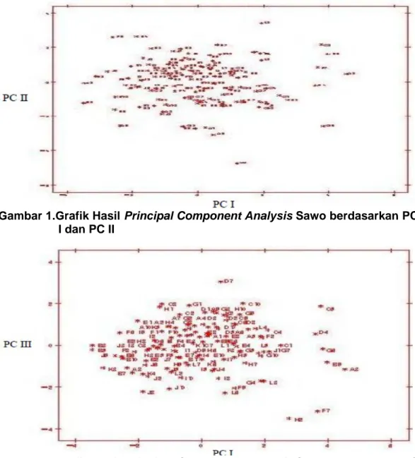 Gambar 1.Grafik Hasil Principal Component Analysis Sawo berdasarkan PC  I dan PC II 