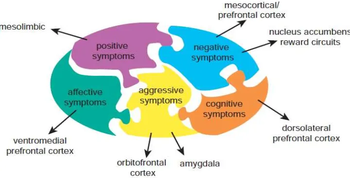 Gambar 2. Peta alokasi kerusakan pada otak dan gejala yang ditimbulkan pada skizofrenia (Stahl, 2013)