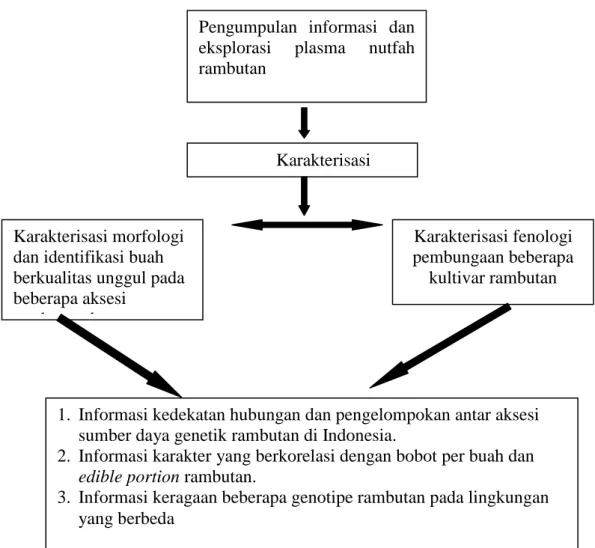 Gambar 1. Bagan alir penelitian Analisis Keragaman dan Keragaan Plasma  Nutfah Rambutan di Indonesia