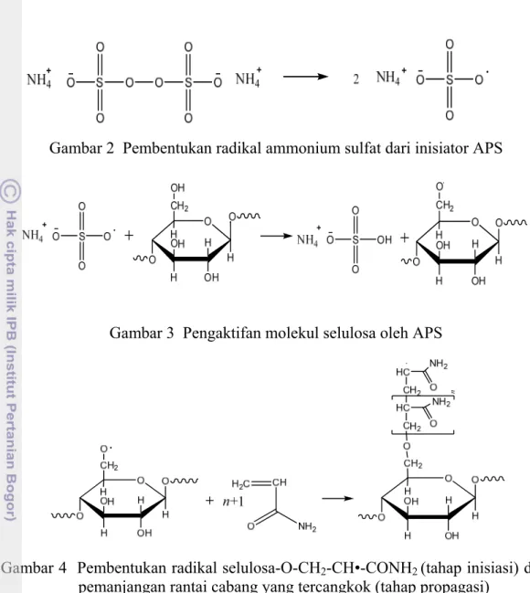 Gambar 2  Pembentukan radikal ammonium sulfat dari inisiator APS 