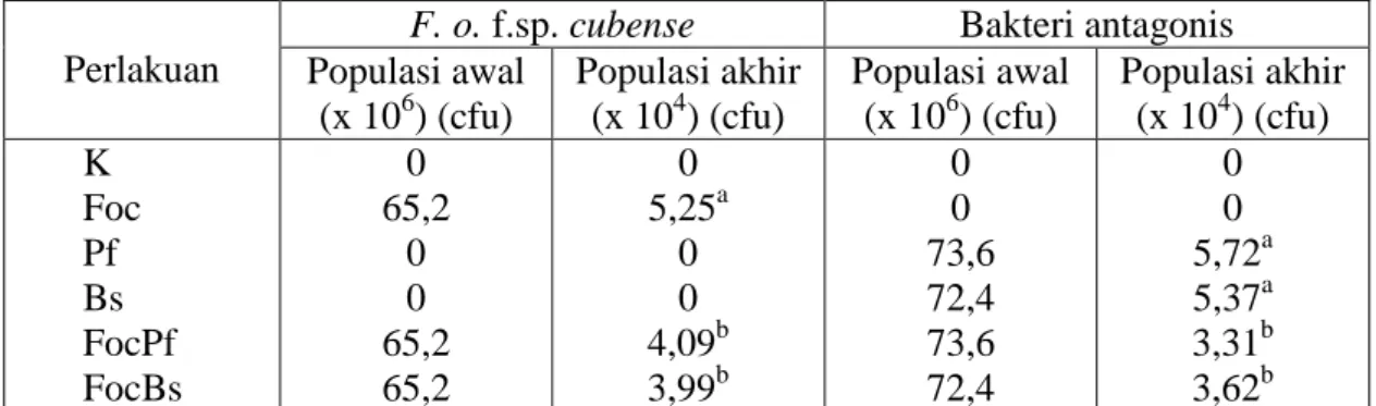 Tabel  2.  Pengaruh  infestasi  F.  o.  f.sp.  cubense  dan  bakteri  antagonis  terhadap  populasi akhir F.o