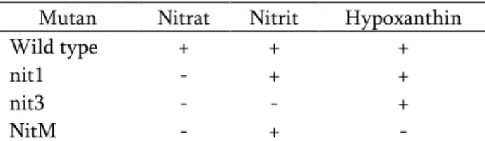 Tabel  1.  Identifikasi  fenotipe  mutan  dan  pertumbuhannya pada berbagai media. 