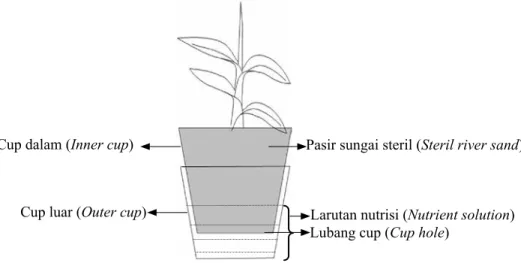 Gambar 1.   Teknik doubel cup yang digunakan pada penelitian (Double cup technique used in  the experiment)