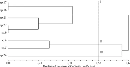 Gambar 3.   Dendrogram delapan isolat Pleurotus spp. berdasarkan amplifikasi primer RAPD  OPO11 (Dendrogram of eight Pleurotus spp