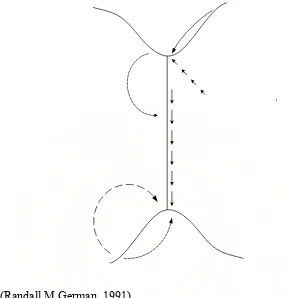 Gambar II. 5. Laju massa sebagai respon gaya penggerak pada metoda mekanisme transport