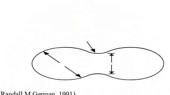 Gambar II. 6.   Skema pembentukan dan pertumbuhan leher pada model dua partikel  