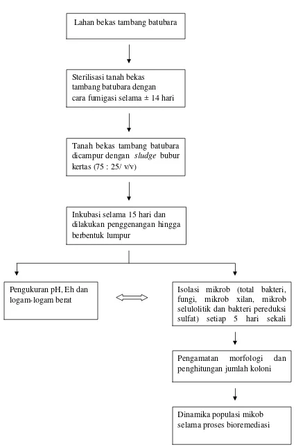 Gambar 1  Diagram Alir Penelitian 