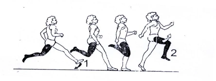 Gambar 2 : Teknik tolakan dalam lompat jauh                                                                                                                                  diadaptasi dari IAAF (2000) 