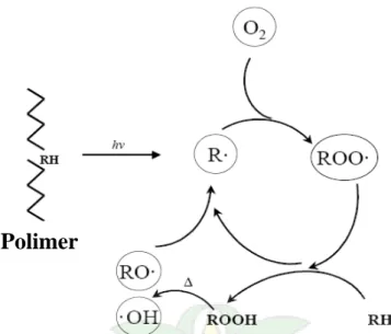 Gambar 8. Mekanisme Fotooksidasi dan Pembentukan Radikal pada Polimer  (Philip and Attwood, 2004) 