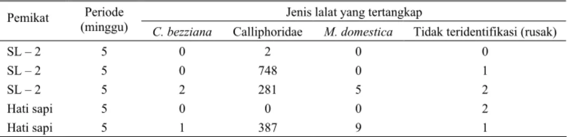 Tabel 2.  Jumlah lalat yang dikoleksi dari perangkap yang menggunakan pemikat SL-2 dan hati sapi segar di  Jonggol I pada musim hujan 