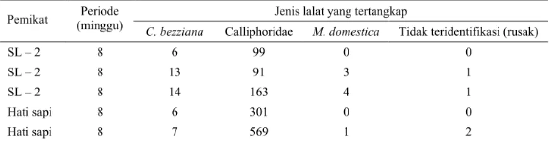 Tabel 5.  Jumlah lalat yang dikoleksi dari perangkap yang menggunakan pemikat SL-2 dan hati sapi segar di  Waingapu pada musim kemarau 