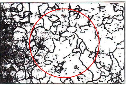 Gambar 2.11 Mikrostruktur Metode Jeffries (Vander 1984)