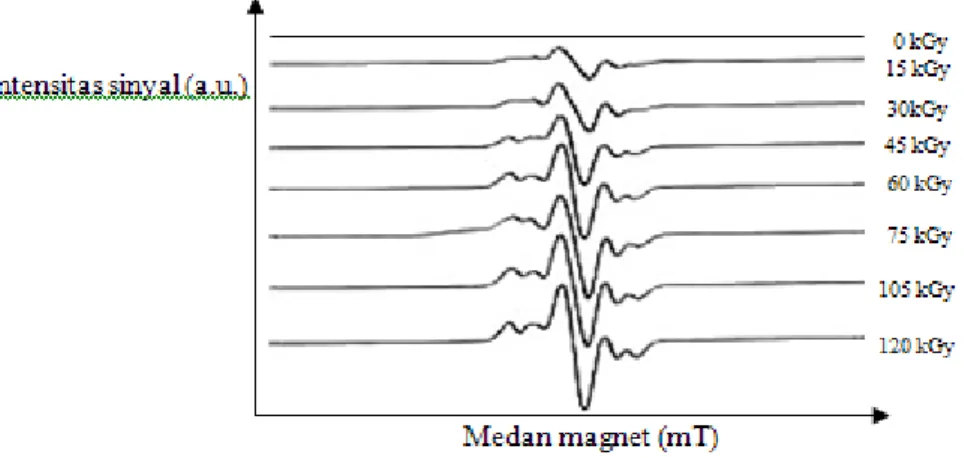 Gambar 1 merupakan spektrum ESR  yang menunjukkan radikal yang terbentuk  setelah SB diiradiasi