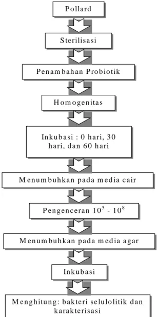 Gambar 1. Skema Penelitian