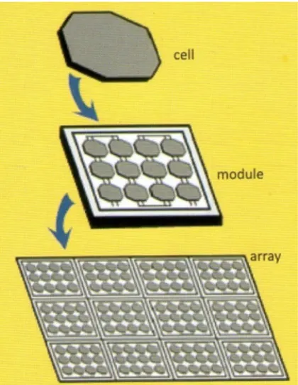 Gambar 2.2 Susunan pembuatan panel surya, dari sel surya, modul dan  panel (array) (Tutun dan Didik Sunardi, 2012.) 