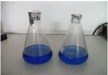 Gambar  filtrat  hasil  percobaan  pelindian  Pb  dan  endapan  Pb-sulfit  yang  dihasilkan  dari  proses  pengendapan  dengan  amonium  sulfit  dapat  dilihat  pada  Gambar  5.2