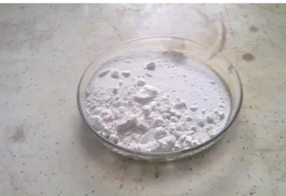 Gambar 5.4. Filtrat dan residu hasil proses klorinasi basah pada lumpur anoda 