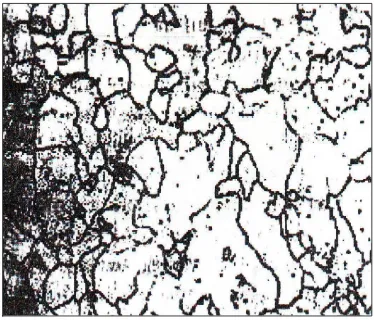 Gambar 2.7  Struktur Butir Baja (ferrit/α) 