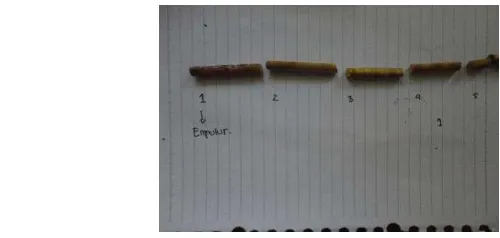 Gambar 1 Stik kayu hasil ekstraksi sebagai unit sampel 