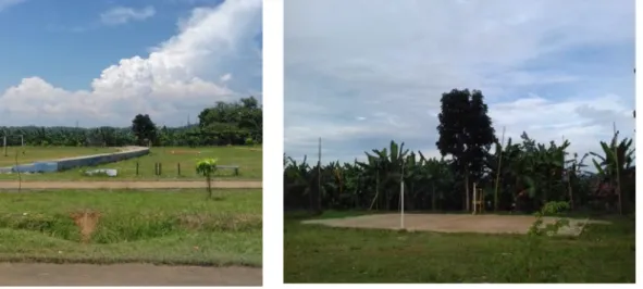 Gambar 7. (a) Lapangan sepak bola dan (b) Lapangan bola voli yang ada di Taman Kalpataru.