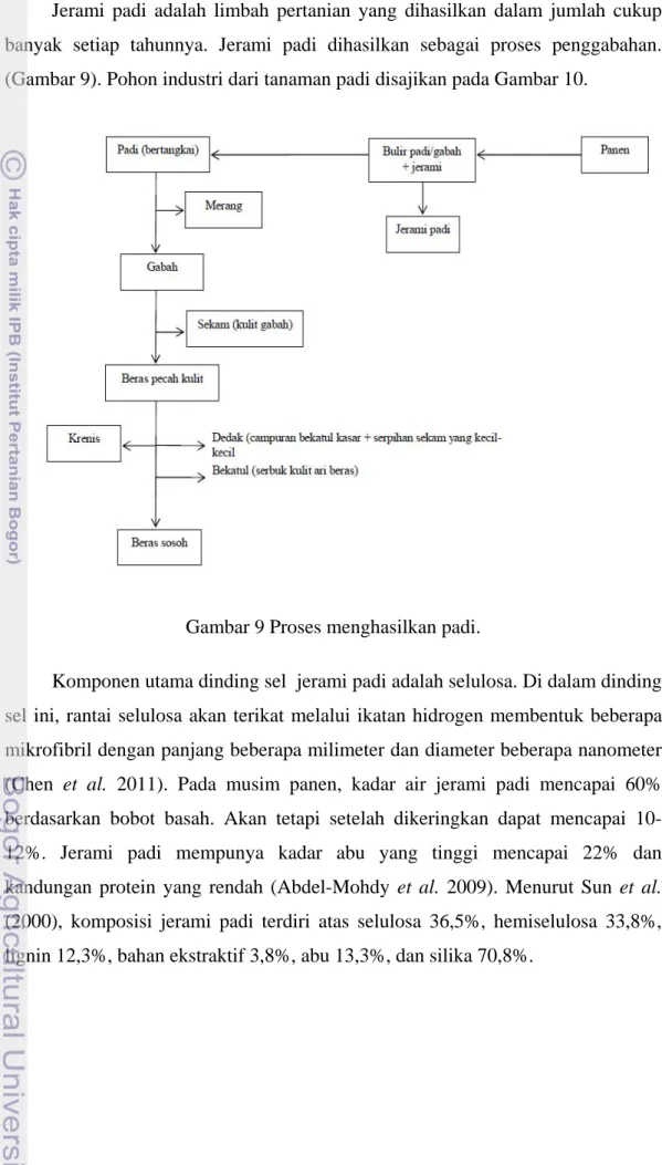 Gambar 9 Proses menghasilkan padi. 