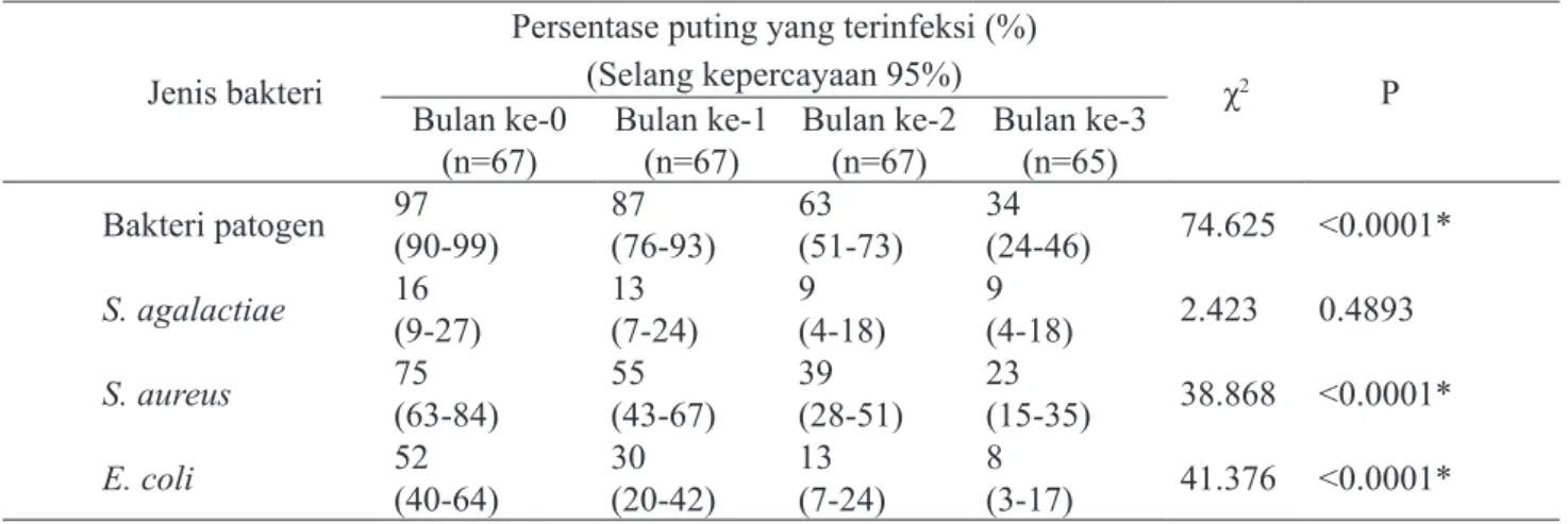 Tabel 1.    Persentase puting yang terinfeksi bakteri patogen penyebab mastitis subklinis karena perlakuan celup  puting pada setiap bulan pengamatan