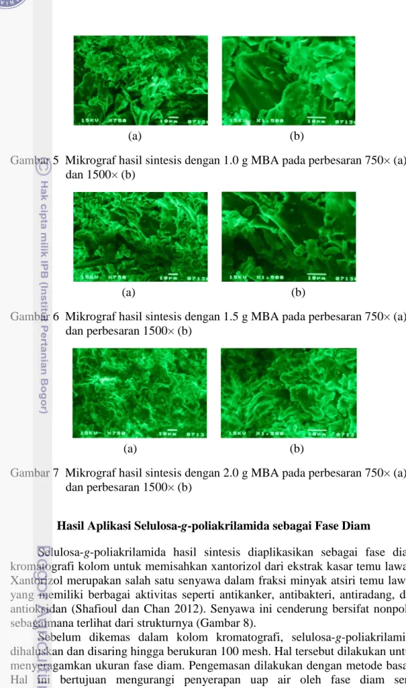 Gambar 5  Mikrograf hasil sintesis dengan 1.0 g MBA pada perbesaran 750× (a)    dan 1500× (b) 