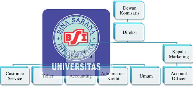 Gambar III.1 Struktur Organisasi PT. BPR Dana Mitra Indonesia 