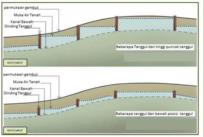 Gambar  5. Dalam saluran hanya terdapat sedikit bendung/sekat/dam dan tinggi  puncak bending (dam wall) di dalam saluran bervariasi (gambar bagian atas: puncak 