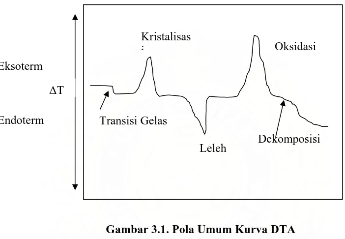 Gambar 3.1. Pola Umum Kurva DTA 