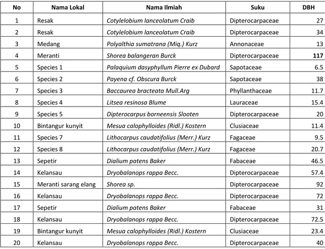 Tabel 1. Daftar jenis pohon sampel yang di tebang di PT SMD 