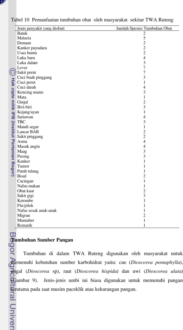 Tabel 10  Pemanfaatan tumbuhan obat  oleh masyarakat  sekitar TWA Ruteng 