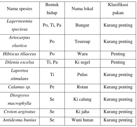 Tabel 7 Daftar pakan badak beserta klasifikasi pakan pada sekitar kubangan 3 Karangranjang  Po=pohon,Ti=tiang,Pa=Pancang,Pe=perdu,Se=semai 