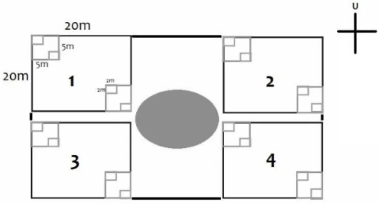 Gambar 3. Plot analisis vegetasi disekitar kubangan 