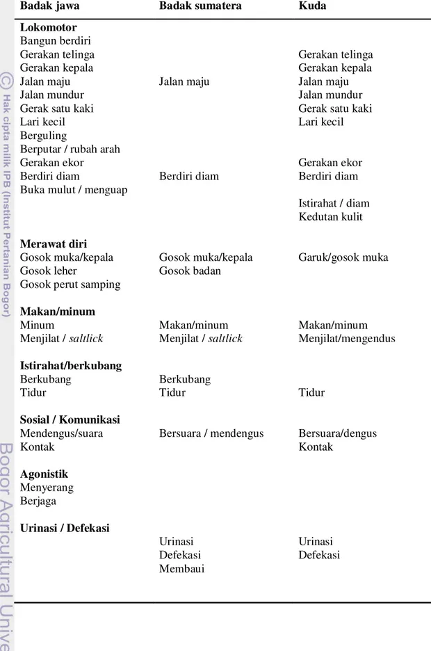 Tabel 13.  Ethogram (daftar perilaku) berdasarkan pengamatan kuda, badak jawa, dan  badak sumatera