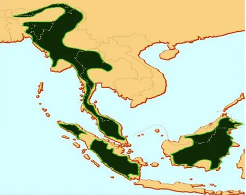 Gambar 1. Sejarah penyebaran badak Sumatera  Di Indonesia terdapat dua jenis badak,  yaitu  badak  Jawa  (Rhinoceros  sondaicus  Desmarest,  1822)  dan  badak  Sumatera  (Dicerorhinus  sumatrensis  Fischer,  1814)