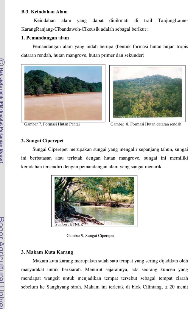 Gambar 9. Sungai Ciperepet 