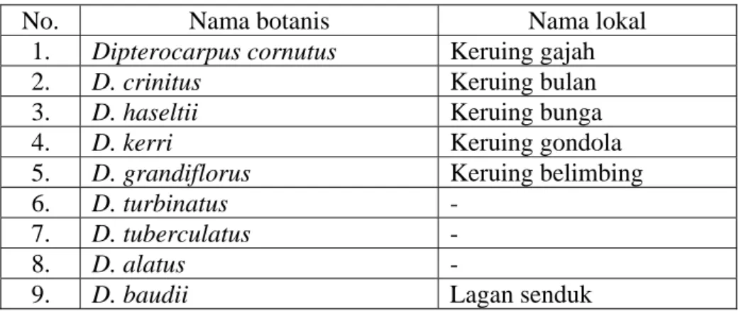 Tabel 1.Daftar jenis pohon  penghasil minyak keruing dari  Dipterocarpaceae 