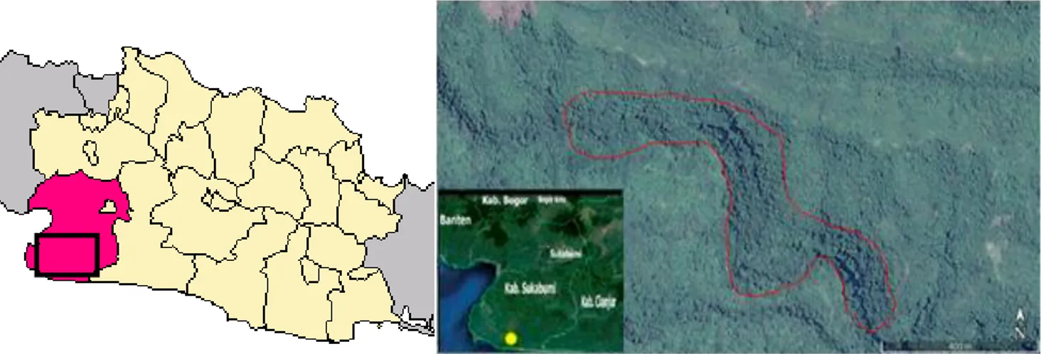 Gambar 1. Peta lokasi penelitian Perum Perhutani, RPH Cisujen, Bagian Kesatuan Pemangkuan Hutan (BKPH) Jampang Kulon, KPH  Sukabumi, Jawa Barat 