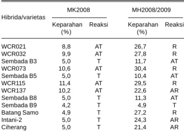Tabel 2. Tingkat keparahan penyakit HDB pada pengujian di lapangan, Kuningan MK 2008 dan MH 2008/2009.