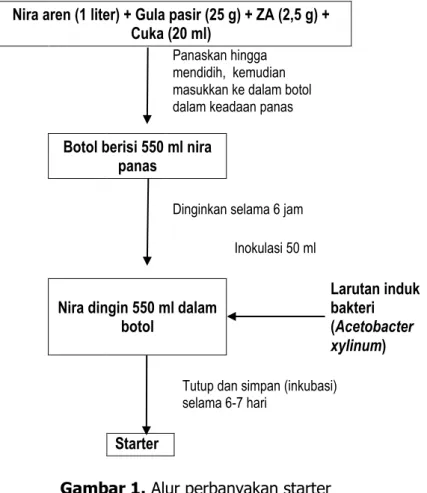Gambar 1. Alur perbanyakan starter 