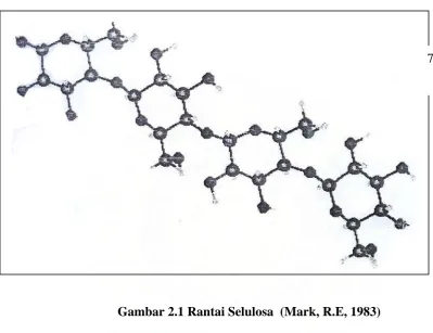 Gambar 2.1 Rantai Selulosa  (Mark, R.E, 1983)   