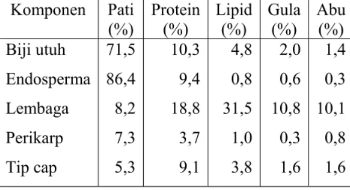 Tabel 2. Komposisi kimia biji jagung  Komponen Pati  (%)  Protein(%)  Lipid(%)  Gula(%)  Abu (%)  Biji utuh  Endosperma  Lembaga  Perikarp  Tip cap  71,586,48,27,35,3 10,39,418,83,79,1 4,80,8 31,51,03,8 2,00,6 10,80,31,6 1,40,3 10,10,81,6 Sumber : Inglett,