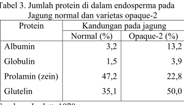Tabel 3. Jumlah protein di dalam endosperma pada    Jagung normal dan varietas opaque-2 